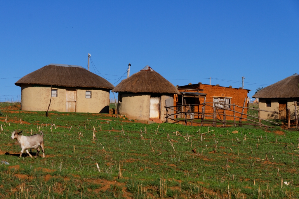 07 - Drankensberg NP (17)-Rondavels.jpg